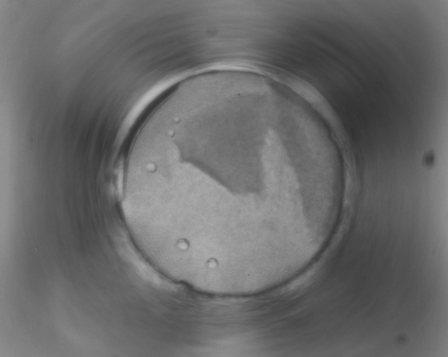 X0000115200908200911251440