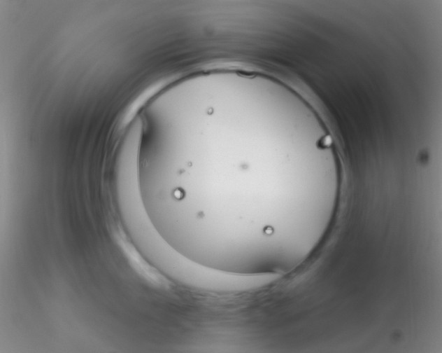 X0000115200909200911251440