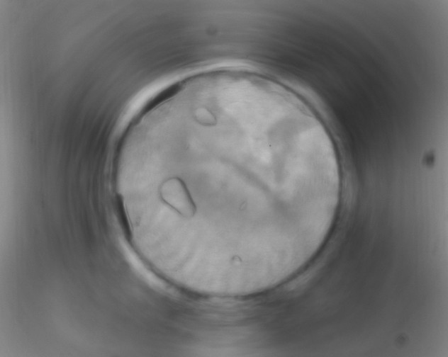 X0000115200910200911251440