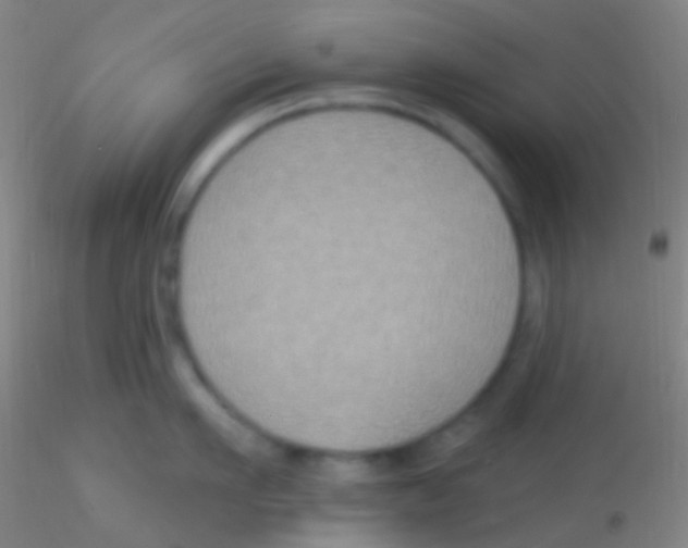 X0000115200911200911251440