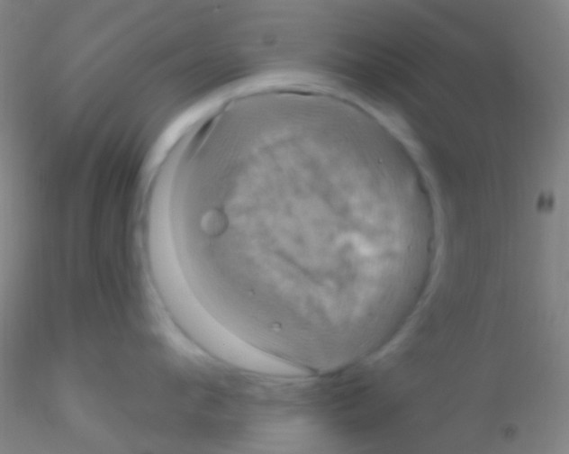 X0000115200912200911251440