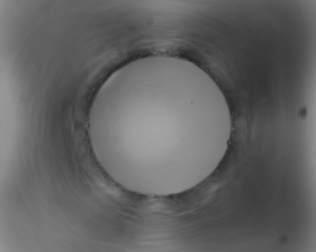 X0000115200913200911251439