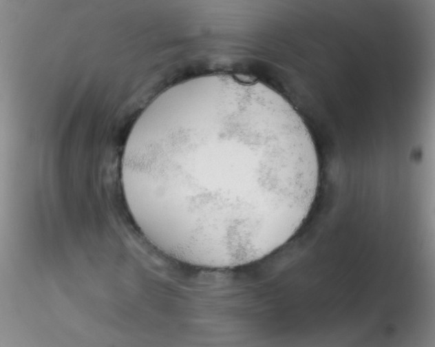 X0000115200914200911251439