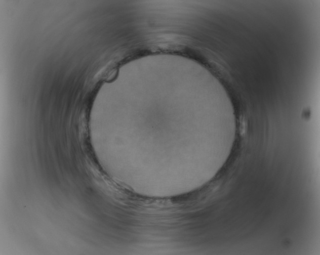 X0000115200915200911251439