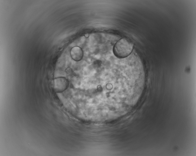 X0000115200917200911251439