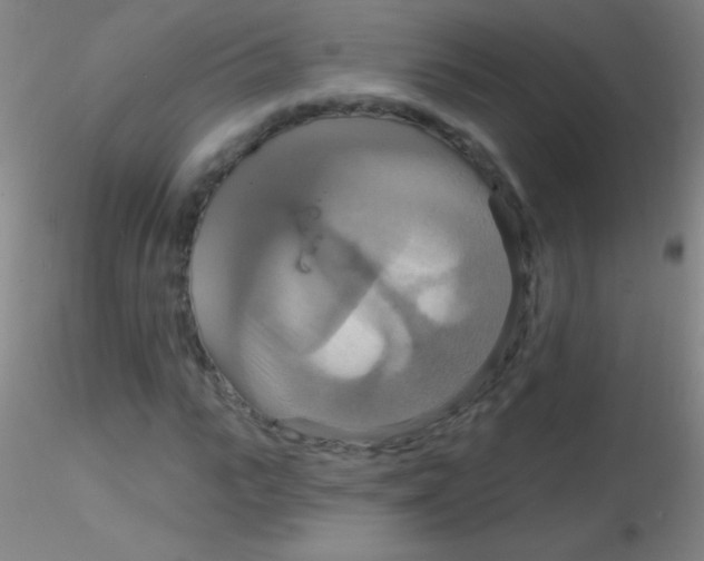 X0000115200919200911251439