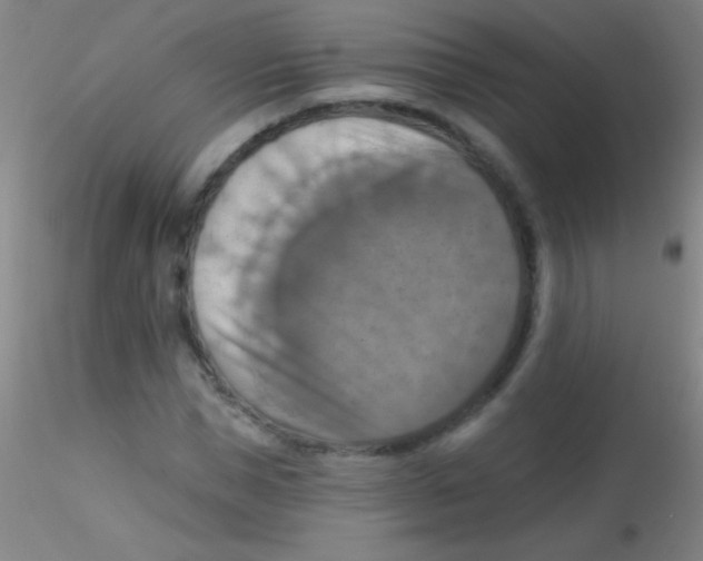 X0000115200921200911251439