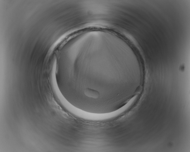 X0000115200923200911251439