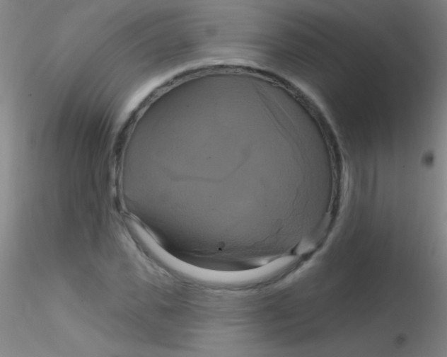 X0000115200925200911251439