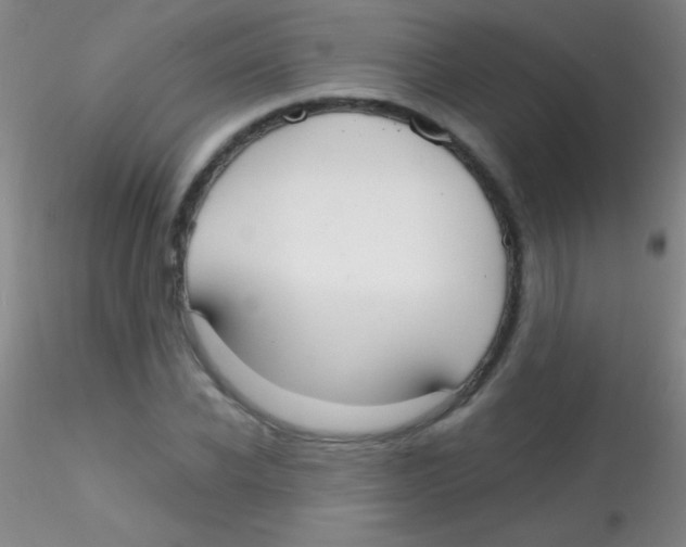 X0000115200926200911251439