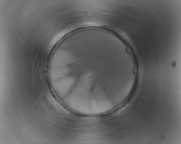 X0000115200930200911251439
