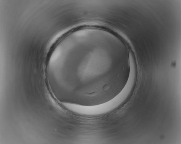X0000115200935200911251439