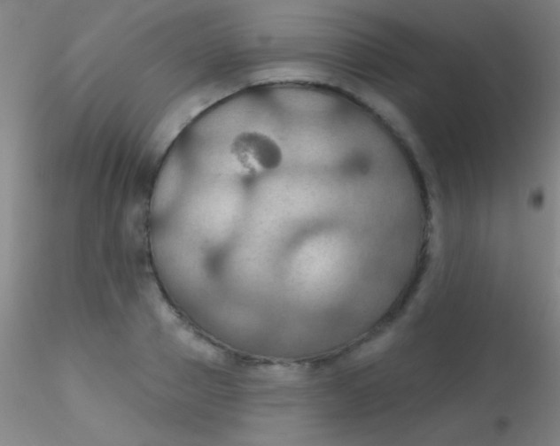 X0000115200937200911251439