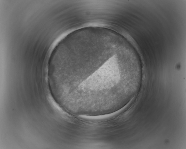X0000115200939200911251439