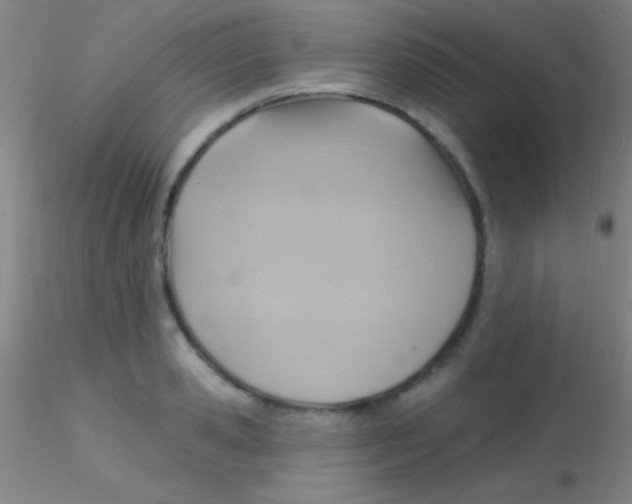 X0000115200941200911251439