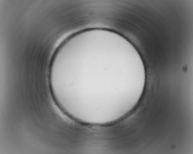 X0000115200942200911251439