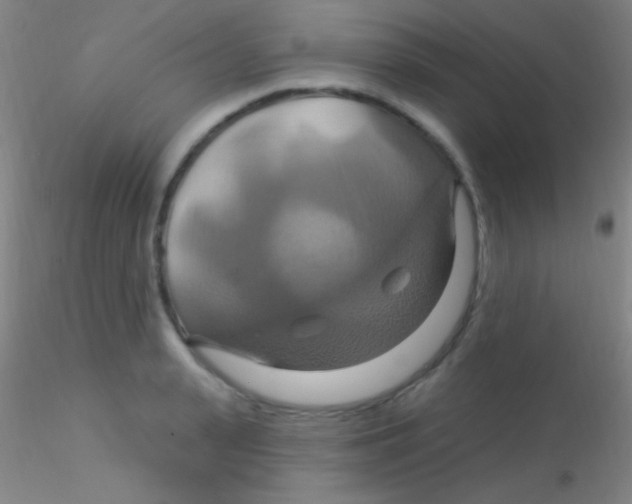 X0000115200943200911251439