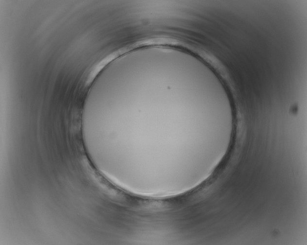 X0000115200945200911251439