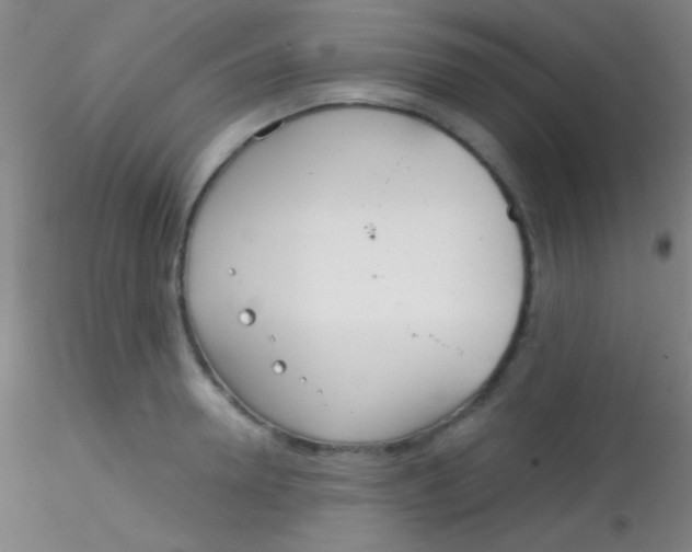 X0000115200946200911251439