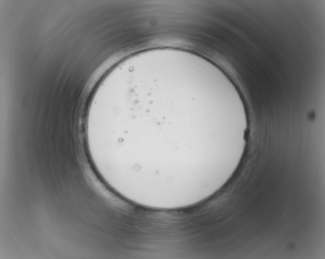 X0000115200947200911251439