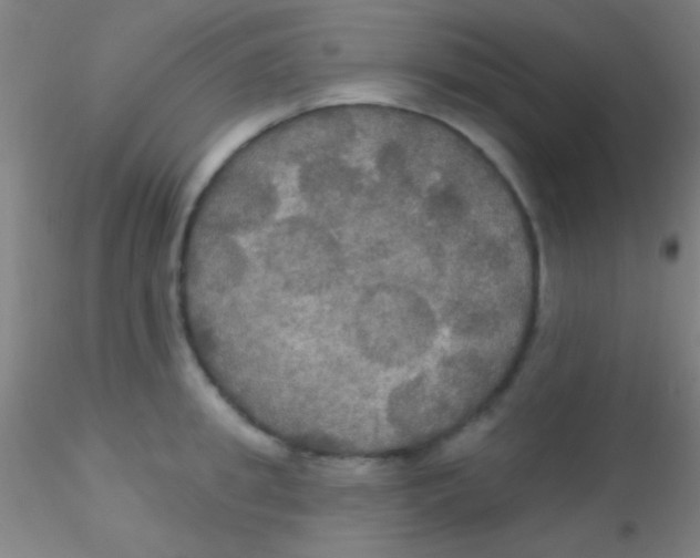 X0000115200949200911251439