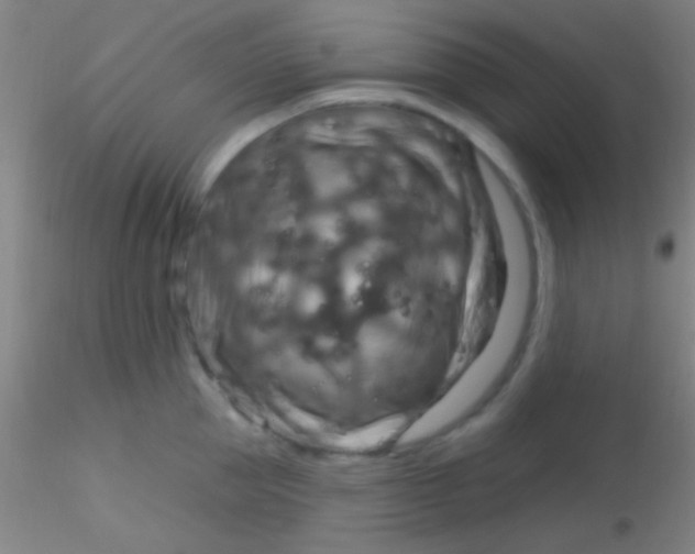 X0000115200953200911251440