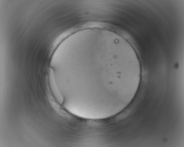 X0000115200954200911251440