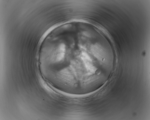 X0000115200955200911251440