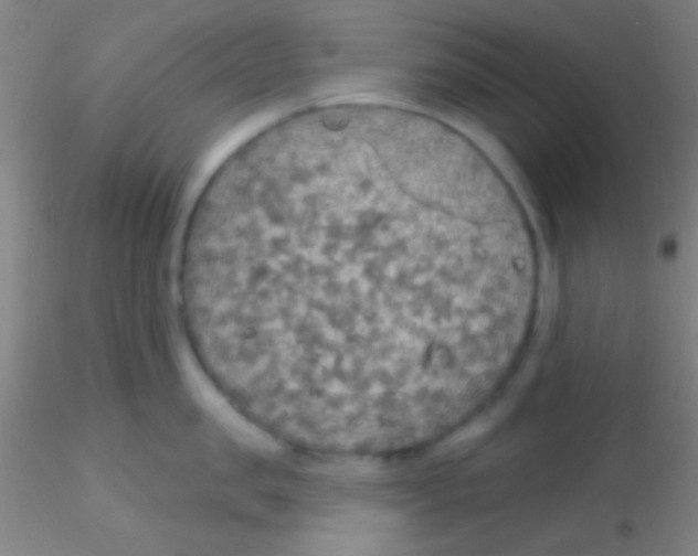 X0000115200957200911251440