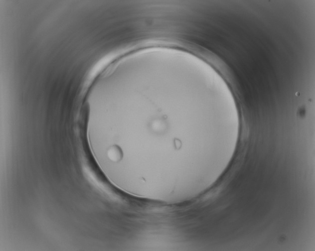 X0000115200958200911251440