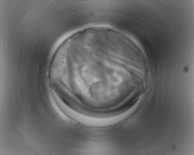 X0000115200959200911251440