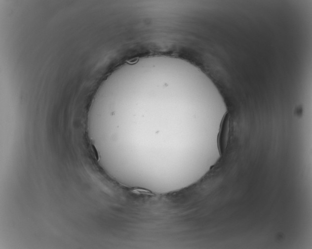 X0000115200961200911251439