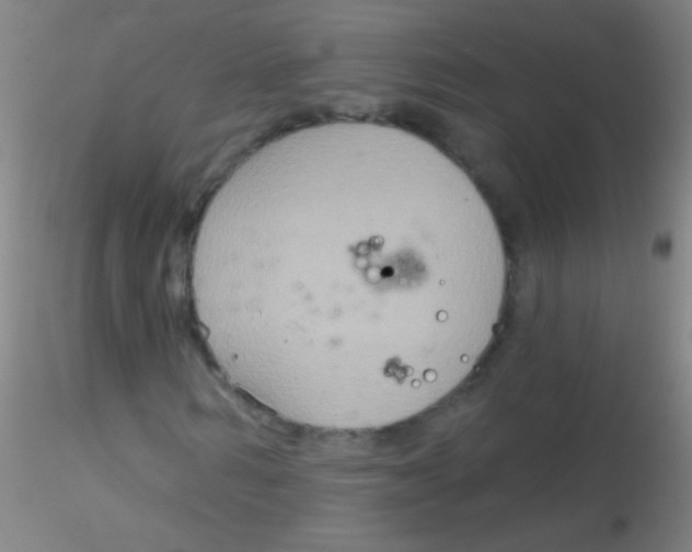 X0000115200962200911251439