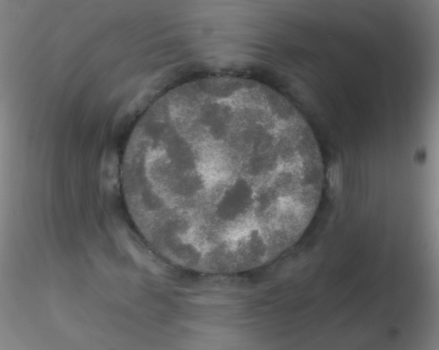 X0000115200963200911251439