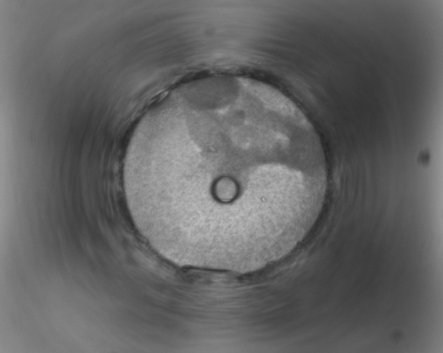 X0000115200964200911251439