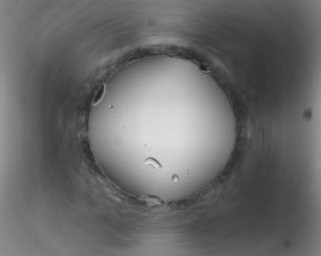 X0000115200965200911251439