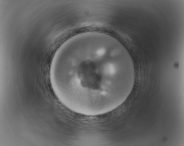 X0000115200966200911251439