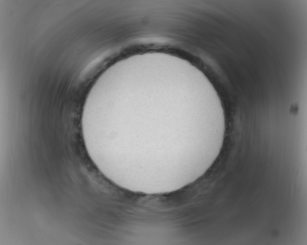 X0000115200967200911251439