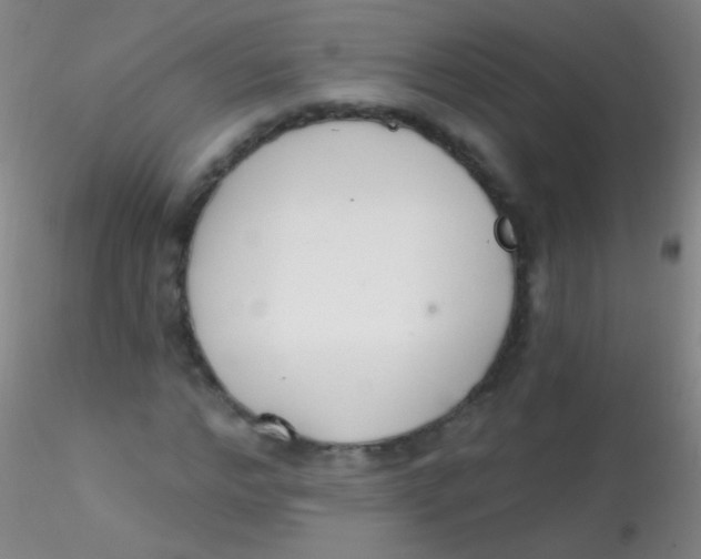 X0000115200968200911251439