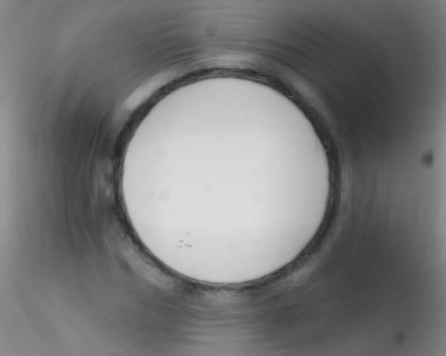 X0000115200970200911251439