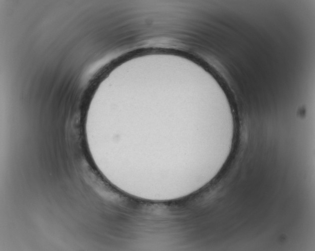 X0000115200971200911251439