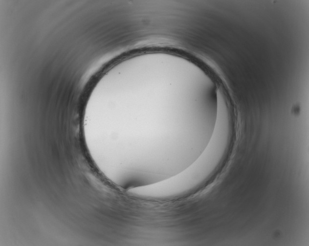X0000115200973200911251439