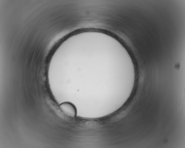 X0000115200974200911251439
