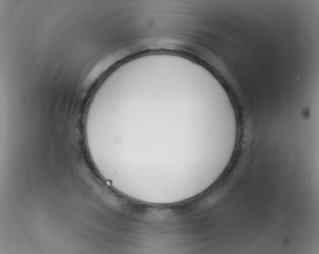 X0000115200978200911251439