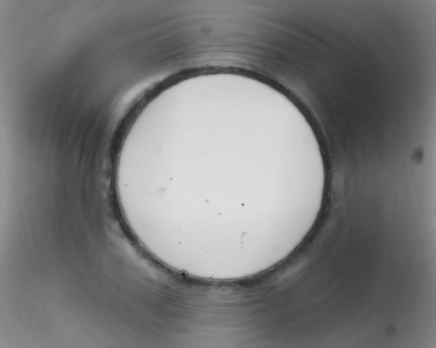 X0000115200979200911251439