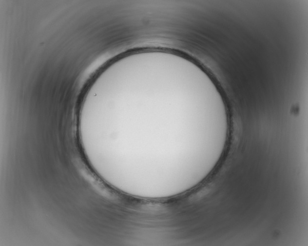 X0000115200982200911251439