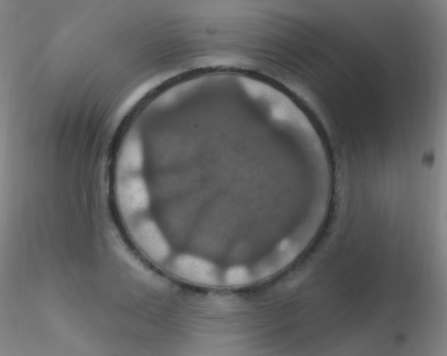 X0000115200983200911251439
