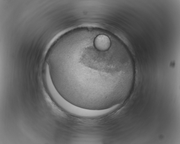 X0000115200984200911251439