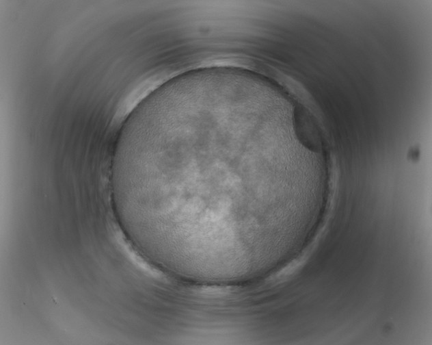 X0000115200985200911251439