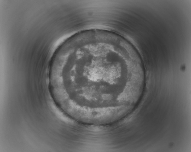 X0000115200987200911251439